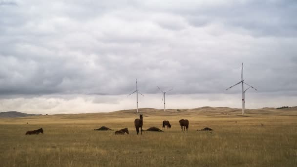 Turbina eolica in un campo sullo sfondo di un cielo grigio nuvoloso all'orizzonte con una splendida collina e cavalli al pascolo. Fonti energetiche alternative. Parco ventoso. Energia ecologica.Industriale — Video Stock