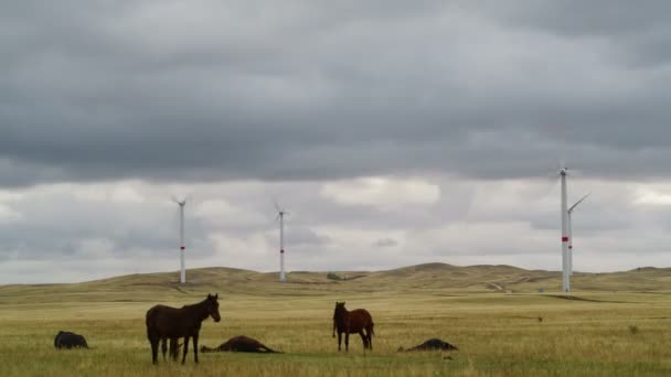Ufukta bulutlu gri gökyüzünün arka planına karşı güzel tepeleri ve otlayan atları olan bir tarlada rüzgar türbini. Alternatif enerji kaynakları. Rüzgarlı park. Ekolojik enerji. Sanayi. — Stok video