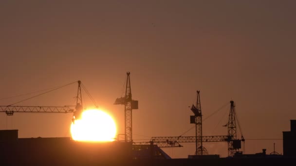 Construction site at orange sunset. Silhouette of high tower cranes works on high-rise residential building site, lifts load. — Stock Video