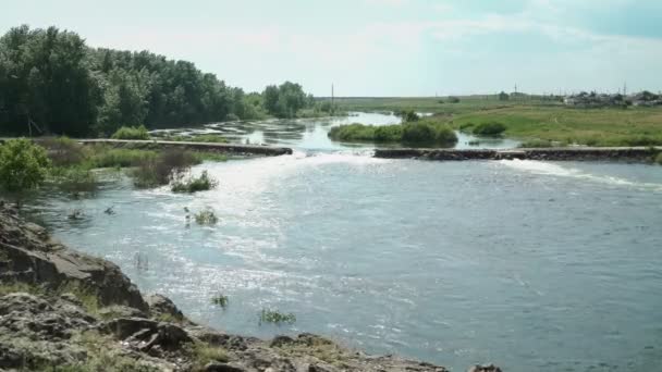Musim panas banjir sungai. Air mengalir. Countryside lanskap alam di hari yang cerah. — Stok Video