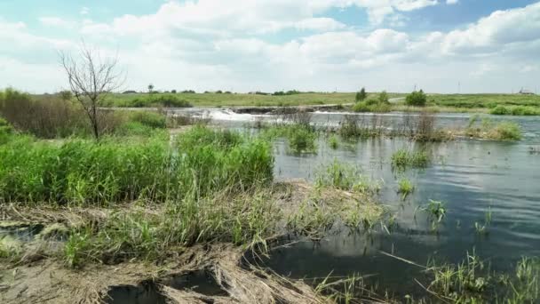 Översvämning på sommaren. Vatten rinner. Landsbygdslandskap i naturen på solig dag. — Stockvideo