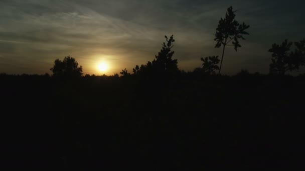 En skymningstimme i ekskogen och sol på himlen. Den mörka scenen av skymning på kvällen. — Stockvideo