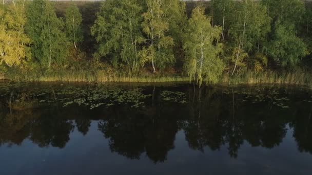 Güneşli yaz günlerinde orman nehrinde rafting yapmak. Medeniyetten uzak eşsiz doğal yerler. Orman nehrinde tatil. — Stok video