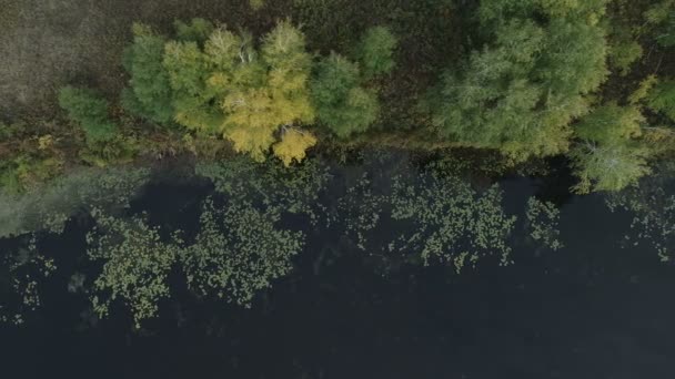 Rafting sur la rivière de la forêt lors de belles journées ensoleillées d'été. Lieux naturels uniques loin de la civilisation. Vacances sur la rivière de la forêt. — Video