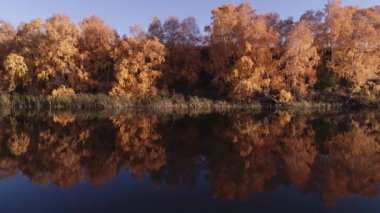 Güneşli sonbahar günlerinde orman nehrinde rafting yapmak. Medeniyetten uzak eşsiz doğal yerler. Orman nehrinde tatil.
