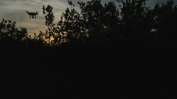 Una hora de anochecer en el bosque de robles, y el sol en el cielo. El oscuro escenario del crepúsculo en la noche. — Vídeo de stock