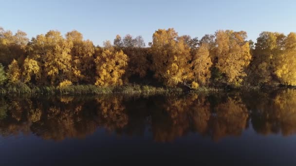 Rafting sur la rivière de la forêt lors de belles journées ensoleillées d'automne. Lieux naturels uniques loin de la civilisation. Vacances sur la rivière de la forêt. — Video