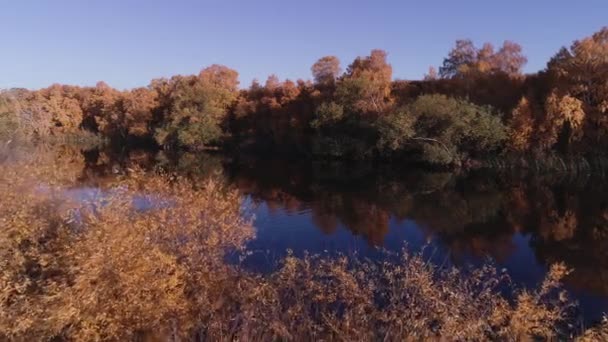 Rafting na řece za krásných slunečných podzimních dnů. Jedinečná přírodní místa daleko od civilizace. Dovolená na lesní řece. — Stock video