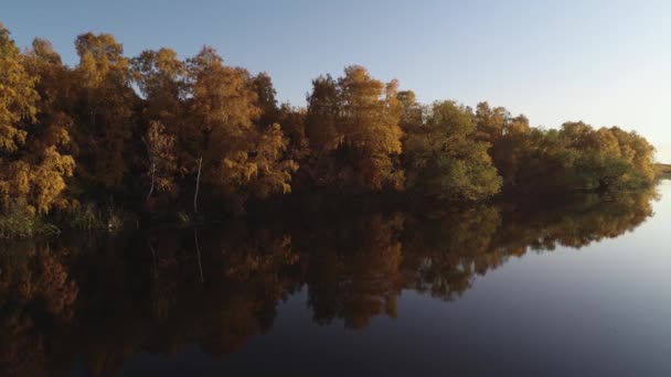 Güneşli sonbahar günlerinde orman nehrinde rafting yapmak. Medeniyetten uzak eşsiz doğal yerler. Orman nehrinde tatil. — Stok video