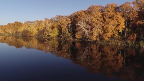 Rafting sur la rivière de la forêt lors de belles journées ensoleillées d'automne. Lieux naturels uniques loin de la civilisation. Vacances sur la rivière de la forêt. — Video