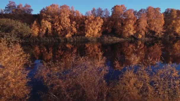 Rafting sur la rivière de la forêt lors de belles journées ensoleillées d'automne. Lieux naturels uniques loin de la civilisation. Vacances sur la rivière de la forêt. — Video