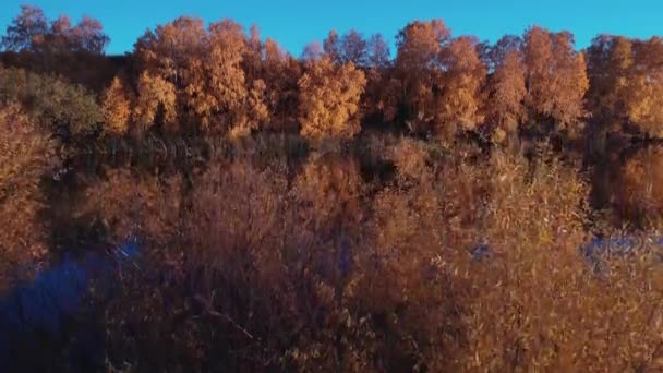 Raften op de bosrivier op mooie zonnige herfstdagen. Unieke natuurlijke locaties ver van de beschaving. Vakantie aan de bosrivier. — Stockvideo