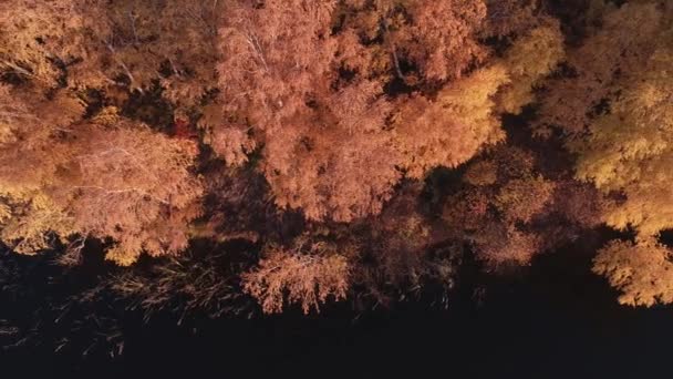 Rafting no rio da floresta em dias de outono ensolarados bonitos. Locais naturais únicos longe da civilização. Férias no rio da floresta. — Vídeo de Stock