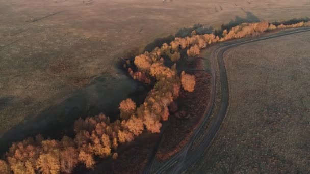 Güneşli sonbahar günlerinde orman nehrinde rafting yapmak. Medeniyetten uzak eşsiz doğal yerler. Orman nehrinde tatil. — Stok video