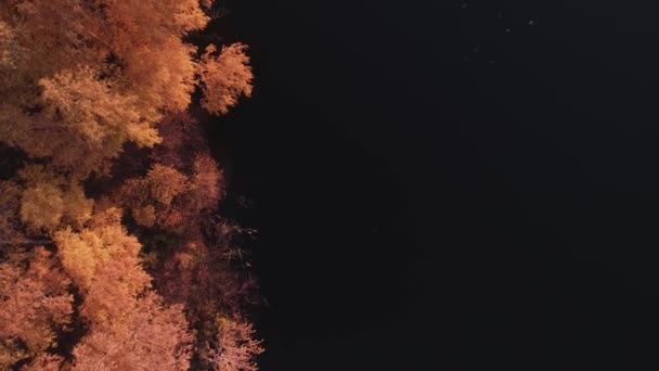 Rafting auf dem Waldfluss an schönen sonnigen Herbsttagen. Einzigartige Naturlandschaften fernab der Zivilisation. Urlaub am Waldfluss. — Stockvideo