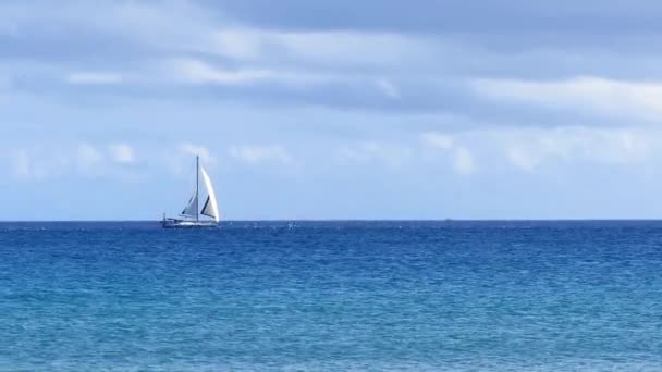 Grijs wit zeilboot de brede blauwe rustige Oceaan oversteken. 1080p. — Stockvideo