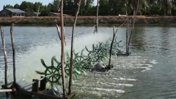 Su türbinleri, gölet Balık tutma — Stok video