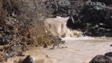 Taşlar ve kahverengi çamur su yüzen yanında çırpı