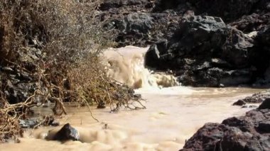 Kahverengi çamurlu su akış taşlar ve çırpı arasında