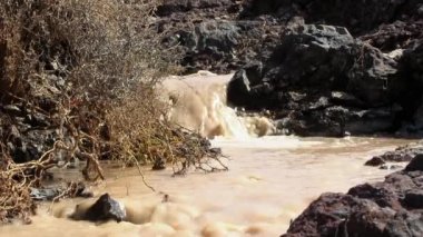 Kahverengi çamur su üzerinde ve taşlar arasında çalışan