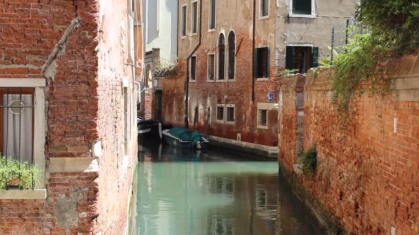 Small canal surrounded by houses in Venice. — Stock Video