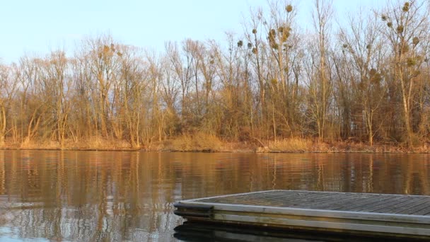 Parte del embarcadero en el lago o río — Vídeos de Stock