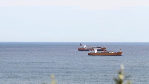 Freight fartyg förankrade i det öppna havet — Stockvideo