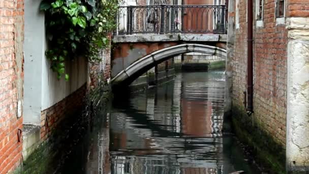 Bruggetje boven kanaal in Venetië — Stockvideo