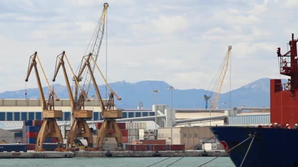 Porto com guindastes e navio porta-contentores — Vídeo de Stock