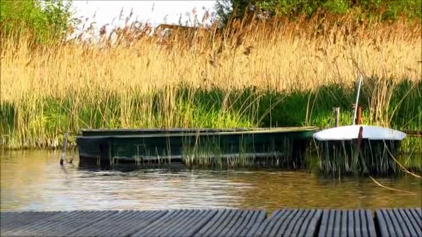 Roeiboten afgemeerd houten steiger — Stockvideo