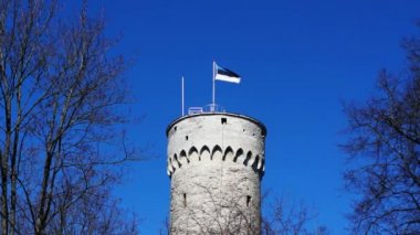 Estonya bayrağı sallayarak uzun bir tarihi kule Tallinn, Estonya.
