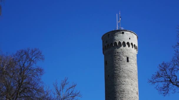 Torre histórica alta con bandera de Estonia en Tallin, Estonia — Vídeo de stock