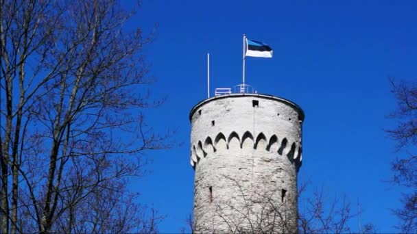 Wieża wysoki zabytkowy z flagą Estonii w Tallin, Estonia — Wideo stockowe