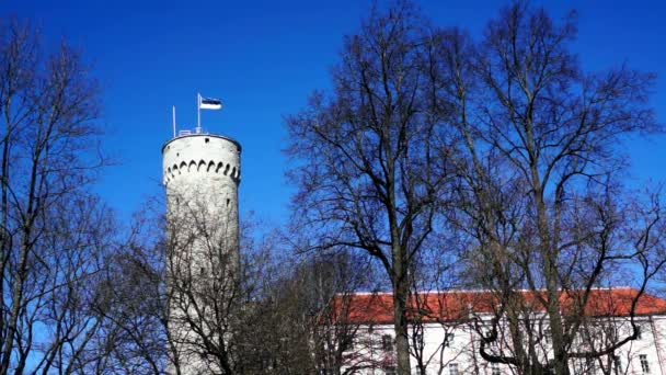 Estonsko mávání vlajkami na věži v historické budově v Tallinn, Estonsko. — Stock video