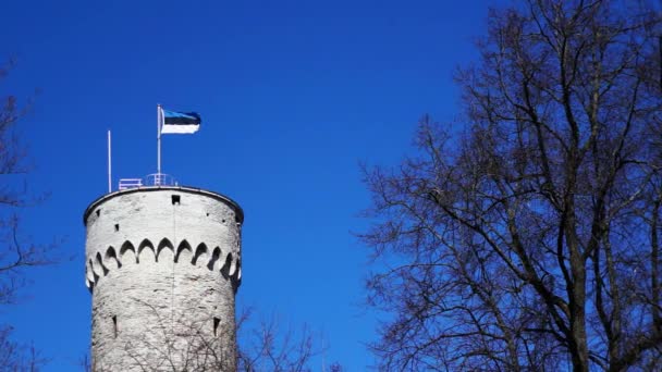 Massive old historic tower in Tallinn (Estonia) with flag of Estonia on it. — Stock Video