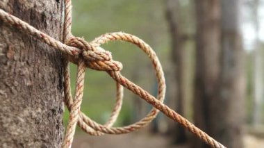 Ağaç gövdesi sıkılır ip