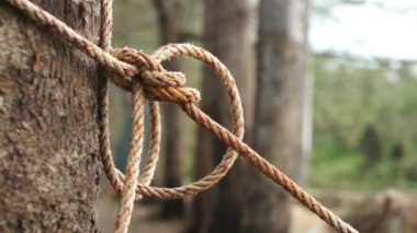 Ağaç gövdesi sıkılır ip