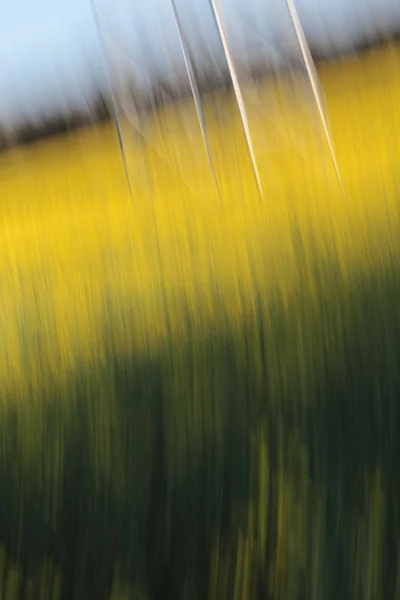 Kanola alan atış içinde bir bulanık Motion Picture, elektrik Kulesi görünür odaklanmamış parçaları.