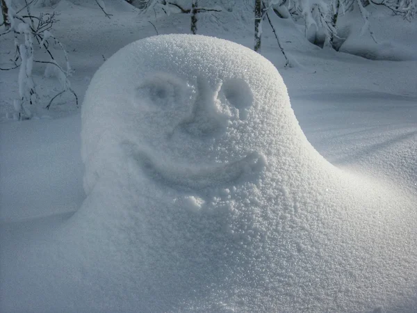 Glada ansikte ler i snö — Stockfoto
