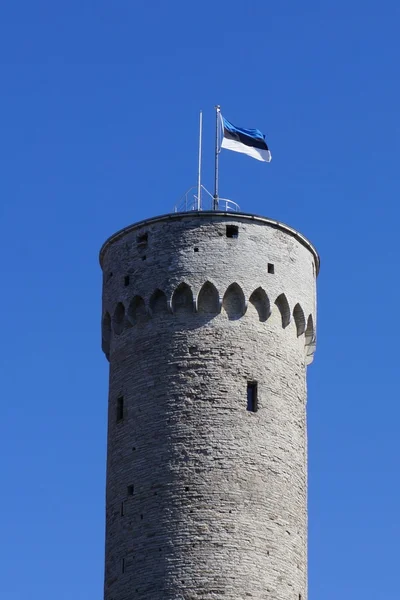Bayrak bayrak direği ile Tallinn (Estonya) büyük eski tarihi kulede üstüne Estonya sallayarak. Mavi Bulutsuz gökyüzü ve sahne çevreleyen ağaçlar.