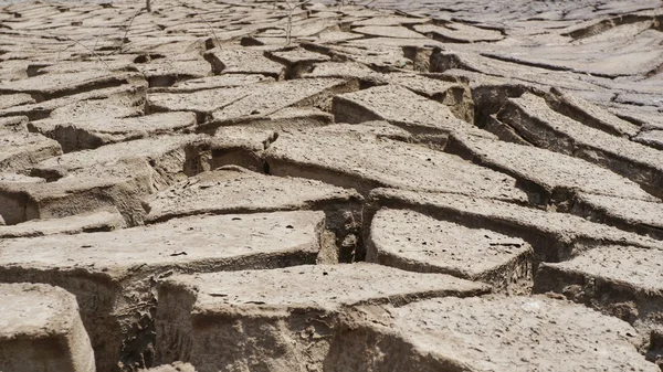 Kuru kuru kahverengi toprak eski çamurlu zemin, kuraklık