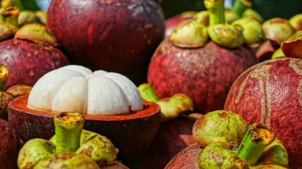 Olgunlaşmış meyve demet mangosteens