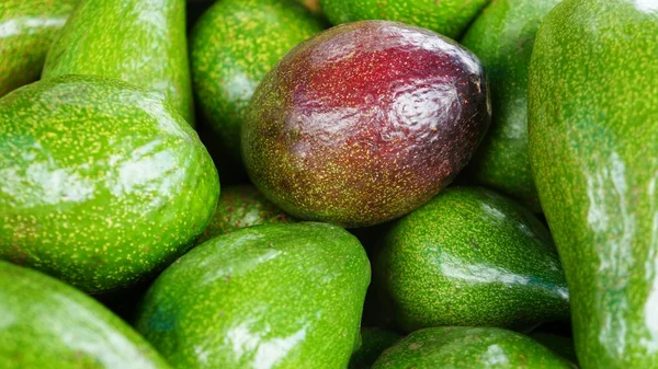 Grup yeşil avokado olgun kırmızı avokado. Lezzetli meyve yığını.
