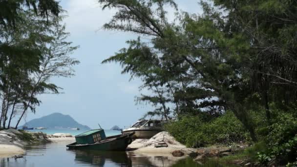 Lagoon with boats on the bank — Stock Video