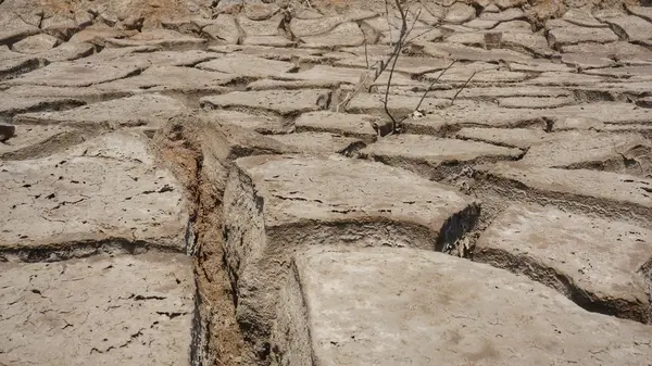 贫瘠干燥的土壤 — 图库照片