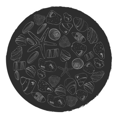 Deniz taşları ve kabuk