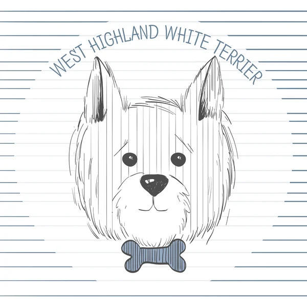 West highland white teriér scetch — Stockový vektor