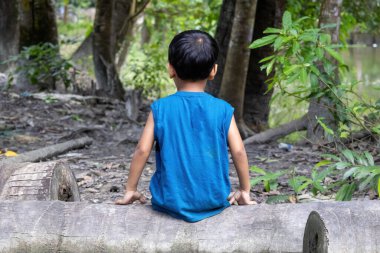 Bangladeş 'in sessiz, kırsal bir köyünde, eski, kaba kesilmiş hindistan cevizi ağacının üzerinde tek başına oturan mavi gömlekli genç bir Bangladeşli' nin arka plan görüntüsü. Otantik çocukluk anı.