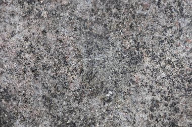 Yaşlanan, tek renkli gri beton zeminin pürüzlü, detaylı dokusu ince tanecikler, doğal kusurlar ve tozlu bir yüzey sergiliyor. Duvar dokusu ve soyut tasarım için ideal.