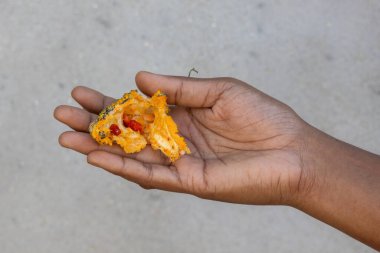 Olgunlaşmış bir Bitter Melon 'u (Momordica charantia) tutan bir dişinin yakın çekimi, canlı kırmızı tohumlarla açık kabağın iç görünüşünü ortaya çıkarır. Karela ya da Balsam Armudu olarak da bilinir..